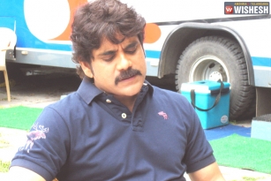 Nag Returns Back to Small Screen