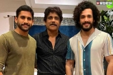 The Ghost event, Akhil for The Ghost, naga chaitanya and akhil coming for nagarjuna, The ghost