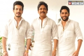 Tollywood, marriage, i want to enjoy the pleasure of two wedding s nagarjuna, Pleasure