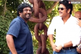 Puri Jagannadh, Nagarjuna and Puri Jagannadh movie, nagarjuna and puri jagannadh to team up again, Nagarjuna next film