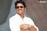 Nagarjuna news, Nagarjuna, nag locks the title for his next, Nagarjuna next film