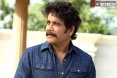 The Ghost shooting updates, The Ghost Dubai updates, nagarjuna to return back to work, The ghost