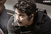 Netflix, Wild Dog news, nagarjuna s wild dog rights sold for a record price, Sold