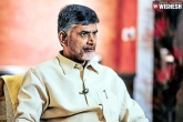 Telangana Elections, telangana, questions raising over naidu s silence after telangana elections, Silence