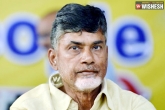 AP Capital, AP Capital, naidu situation cat on the wall, The wall