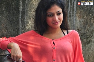 NBK To Romance &lsquo;Pilla Zamindar&rsquo; Heroine