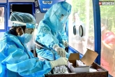 Andhra Pradesh Coronavirus cases, Andhra Pradesh Coronavirus tally, 2010 new covid cases reported in andhra pradesh, Coronavirus news