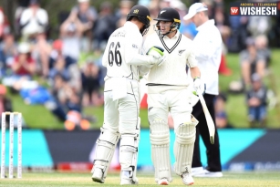 New Zealand Sweeps the Test Series Against India
