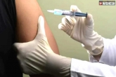 Coronavirus drug, World Health Organization, three new drugs considered to treat coronavirus, World health organization