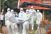 Nipah virus news, Nipah virus Kerala, nipah virus claims two more lives in kerala, Claims