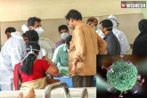 Nipah virus, Nipah virus victims, no need to panic about nipah virus says centre, Panic