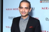 Nirav Modi extradition, Nirav Modi extradition, ed s new odinance to seize nirav modi s assets, Fugitive
