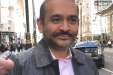 Nirav Modi case, Nirav Modi breaking news, all roads cleared for nirav modi s extradition to india, Roads