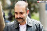 Nirav Modi latest, Nirav Modi latest, swiss authorities shock nirav modi, Authorities