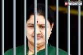 Sasikala latest updates, Sasikala jail life, no vip treatment for sasikala, Jail life