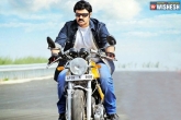 Boyapati Seenu, Balayya, no buyers for balayya s movie, Boyapati seenu
