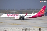 SpiceJet latest, SpiceJet pilots, no salaries for spicejet pilots for april and may, Indian flights