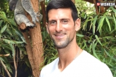 Novak Djokovic updates, Coronavirus, novak djokovic tested positive with coronavirus, Novak djokovic