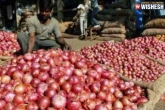 Onions, Onion prices new updates, onion prices farmers did not gain anything, Onions