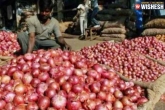Onions, Onions in India, onion prices farmers did not gain anything, Onions
