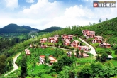 kurunji flower, Ooty, ooty or udhagamandalam or ootacamund paradise gifted by nature, Mandalam
