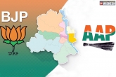 AAP, Delhi Elections, opinion polls against bjp, Kiran bedi