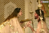 Shahid Kapoor, Padmaavat new, no promotions for padmaavat, Ranveer singh