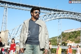 Anup Rubens, Paisa Vasool release date, paisa vasool trailer puri and balayya s show, Balayya