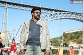 Puri Jagannadh, Shriya Saran, paisa vasool trailer puri and balayya s show, Paisa vasool