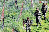 troops, troops, pakistani troops violated border ceasefire, Pakistani troops