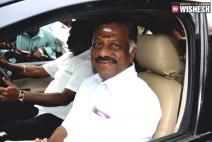 Panneerselvam On AIADMK Merger