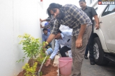 Harithaharam updates, Harithaharam latest, pawan kalyan accepts megastar s harithaharam challenge, Haritha