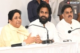 Mayawati, Mayawati, pawan kalyan is the next cm of ap admits mayawati, Maya