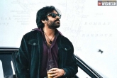 Pawan Kalyan's OG fights, Pawan Kalyan's OG release date, date locked for pawan kalyan s og, Songs