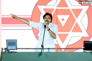 Pawan Kalyan Promises For big for Andhra Pradesh
