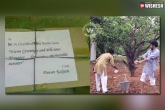 Pawan Kalyan, Pawan Kalyan, pawan kalyan sends mangoes to cm, Mangoes