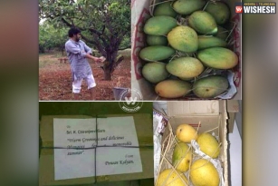 Exclusive: Pawan gifts mangoes to Chiru