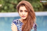 Payal Rajput movies, Payal Rajput, payal rajput to shake leg with bellamkonda, Bellam