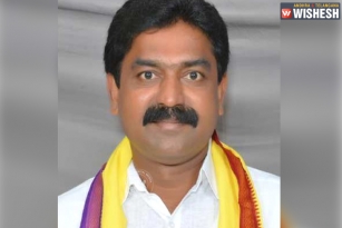 Andhra MLA Translocates Trees To Different Location