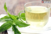 Natural Remedies, Home Remedies, health benefits of peppermint tea, Remedies