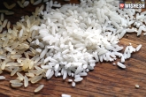 The Civil Supplies Department, The Civil Supplies Department, plastic rice news fake says telangana govt, Plastic