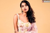 Pooja Hegde news, Pooja Hegde news, pooja hegde shifts her focus towards tamil, Shift