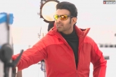 Prabhas movies, Prabhas new updates, prabhas promises to work for 300 days a year, Radhe