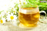 how to prepare chamomile tea, amazing benefits of chamomile tea, preparation and health benifits of chamomile tea, Tea benefits