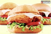 quick burger recipes, quick burger recipes, preparation of cheesy chicken burger, Chicken recipe