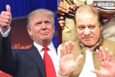 Nawaz Shair congratulated Trump, Trump had conversation with Sharif, president elect trump calls pakistan pm sharif a fantastic man pakistan government, Network