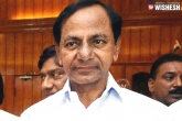 Telangana, KCR. BJP Chief, trs to take a final call on saturday over presidential polls, Presidential elections