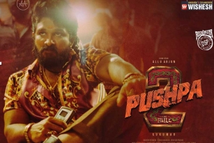 Two Telugu films aiming Pushpa 2 Release Date
