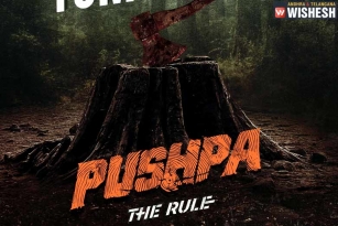 Allu Arjun&#039;s Pushpa: The Rule Shoot Delayed