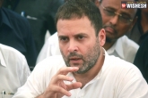 Rahul Gandhi, Rahul Gandhi, rahul gandhi terms implementation of gst a tamasha, Congress vice president